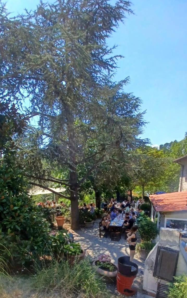 Ala Di Maniero In Agriturismo Valdrago In Toscana, Nel Verde Mugello Sulle Colline Di Firenze Borgo San Lorenzo Dış mekan fotoğraf
