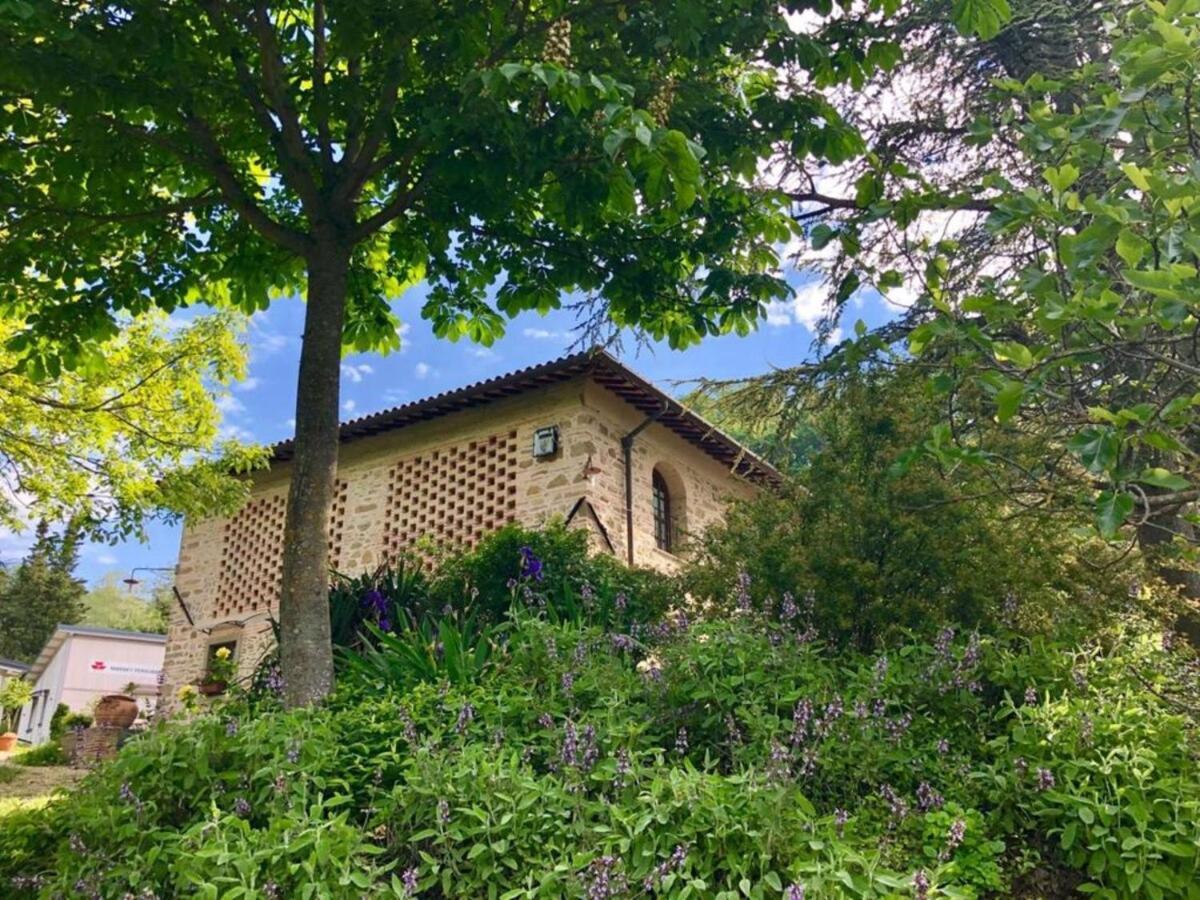 Ala Di Maniero In Agriturismo Valdrago In Toscana, Nel Verde Mugello Sulle Colline Di Firenze Borgo San Lorenzo Dış mekan fotoğraf