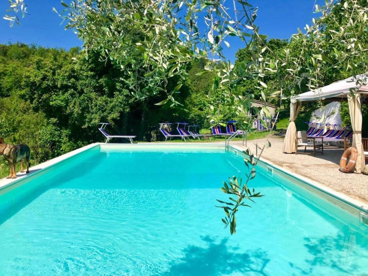 Ala Di Maniero In Agriturismo Valdrago In Toscana, Nel Verde Mugello Sulle Colline Di Firenze Borgo San Lorenzo Dış mekan fotoğraf