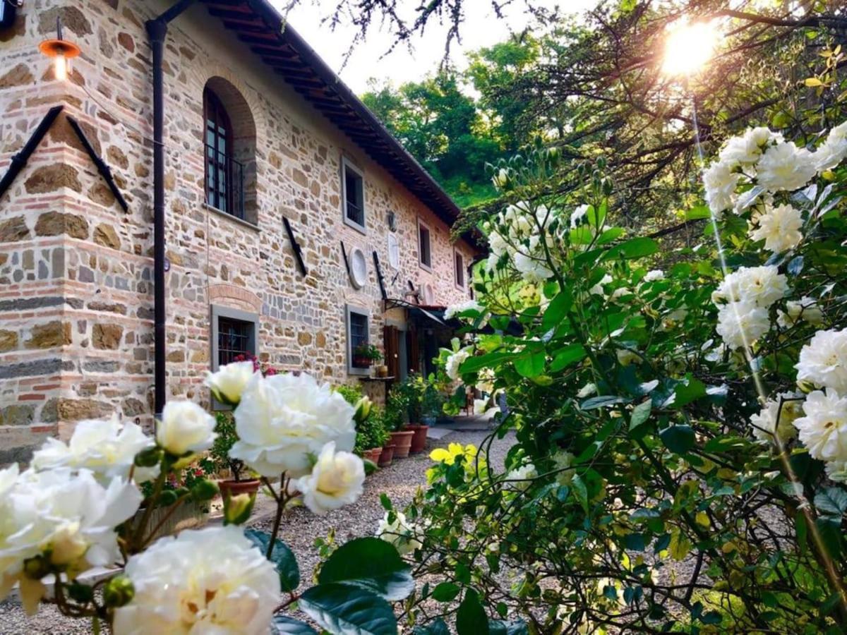 Ala Di Maniero In Agriturismo Valdrago In Toscana, Nel Verde Mugello Sulle Colline Di Firenze Borgo San Lorenzo Dış mekan fotoğraf
