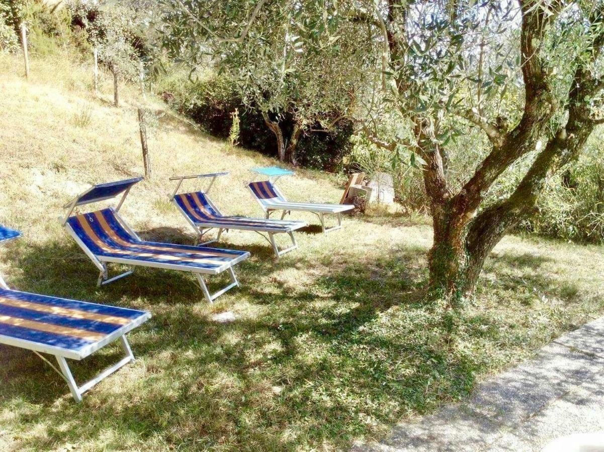 Ala Di Maniero In Agriturismo Valdrago In Toscana, Nel Verde Mugello Sulle Colline Di Firenze Borgo San Lorenzo Dış mekan fotoğraf