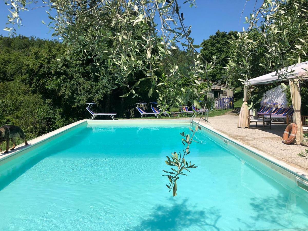 Ala Di Maniero In Agriturismo Valdrago In Toscana, Nel Verde Mugello Sulle Colline Di Firenze Borgo San Lorenzo Dış mekan fotoğraf